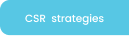 CSR strategies